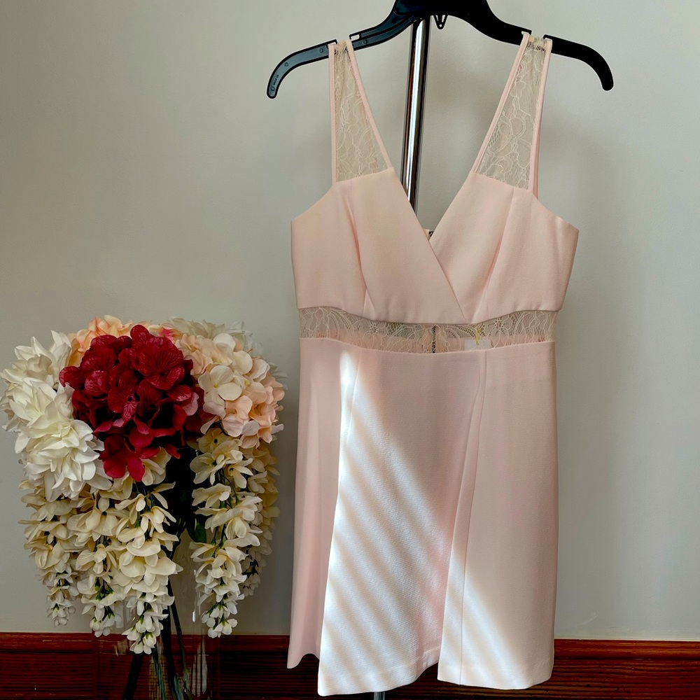 NEW BCBG GENERATION Pastel pink dress.